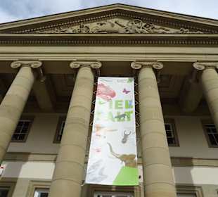 Staatliches Museum für NaturkundeRosensteinmuseum 