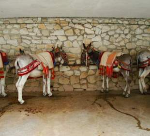 Mijas