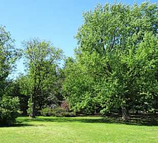 Eindrücke aus dem Alsterpark an der Außenalster