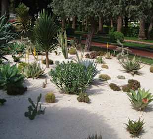 Bahei-Gärten Haifa