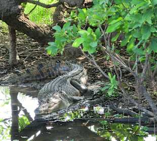 Ausflug zum Yellow River