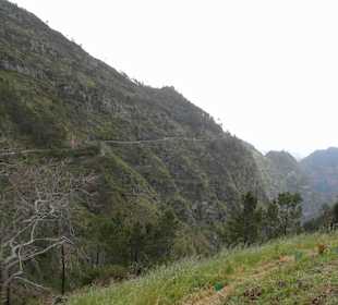 Inselrundfahrt Madeira