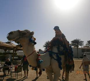 "Mozes" am Dana-Beach