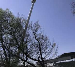 Stadion an der Kreuzeiche