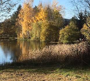 Wandern Hinterzarten
