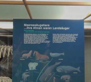 Meeresmuseum Stralsund