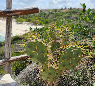 Wandern Playa Esmeralda