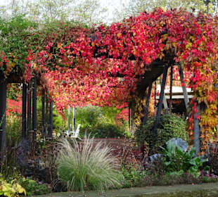 Rundgang durch das herbstliche "Planten un Blomen"