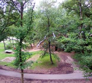 Baumwipfelpfad Saarschleife