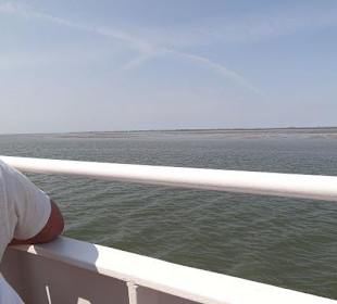 Blick auf eine lange Sandbank