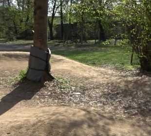 Unterer Schlossgarten Stuttgart