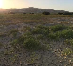 Wüstensafari in Marsa Alam mit Morgenland Reisen