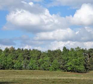 Heidelandschaft am Westufer der Talsperre