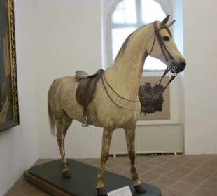 Lieblingspferd von Ludwig II