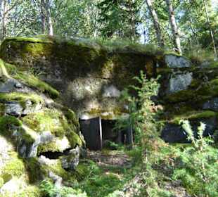 Autofriedhof am Foxen