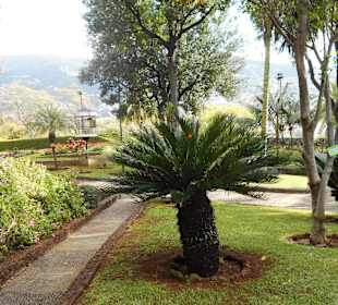 Quinta Vigia
