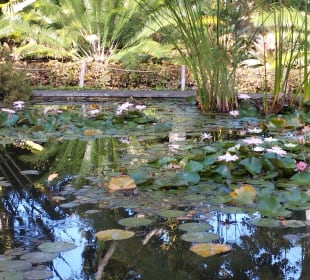 Botanischer Garten Puerto de la Cruz