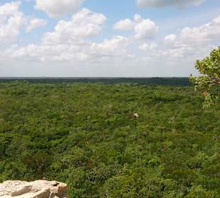 Aud der großen Pyramide in Coba- atemberaubend