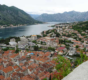 Bucht und Altstadt von Kotor