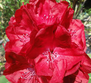 Impressionen vom Rundweg durch den Park