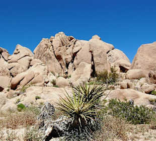 Joshua Tree Nationalpark