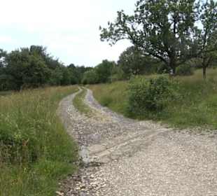 Premiumspazierweg Früchtetrauf-Leisawegle