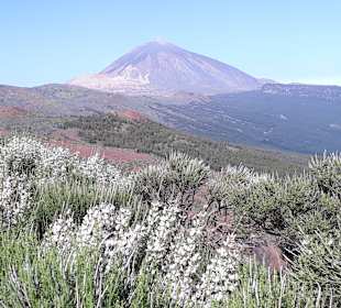 Teide Nationalpark