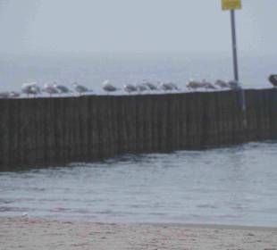 Strand Kolberg/Kolobrzeg