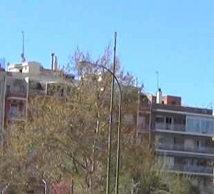 Real Basílica de San Francisco el Grande