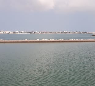 Ausblick Museumsterrasse