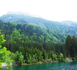 Grünsee linker Bereich