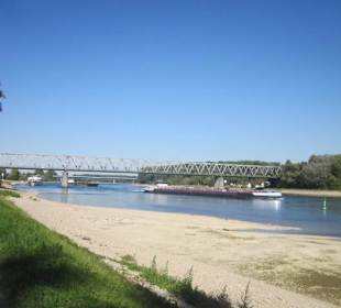 Uferpromenade Germersheim Niedrigwasser