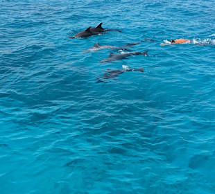 Bakadi Dreams (Bakadi-Tours) 