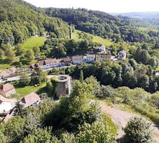 Burg Falkenstein in Winnweiler