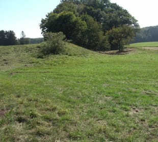 Kelten-Erlebnis-Pfad Erkenbrechtsweiler