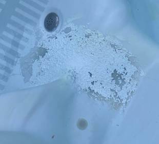 Whirlpool im Außenbereich 