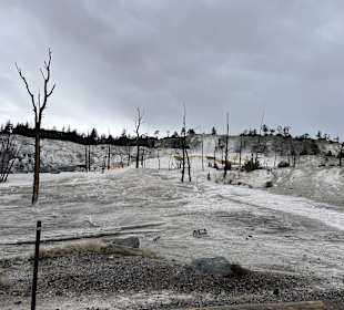 Yellowstone Nationalpark