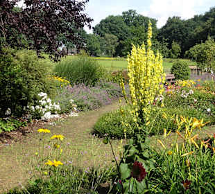 Spaziergang durch den Dorfgarten Dötlingen