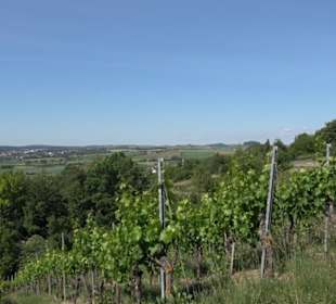 Früchtetrauf - Wurmlinger Kapellenwegle