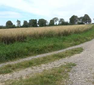 Sonnenaufgangs-Rundwanderung Rübgarten