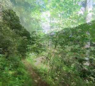 Wandern Schenkenzell