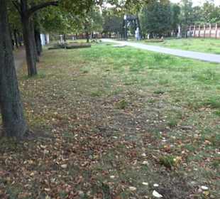 Berliner Mauerweg