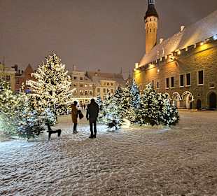 Altstadt Tallinn/Reval