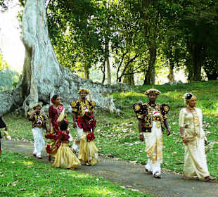 Peradeniya Botanischer Garten