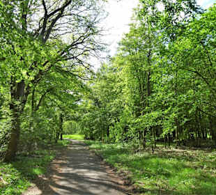 Spaziergang durch den Stadtwald Oldenburg