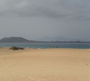 Blick auf die Insel Lobos