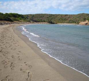 Aktivausflug - Es Grau