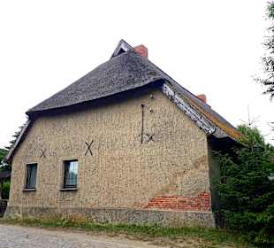 Ausblick Allee von Krummin