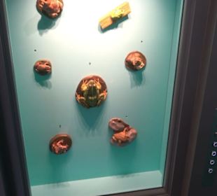 Museum Natur und Mensch