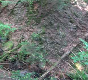 Griesbacher Wasserfälle Bad Griesbach